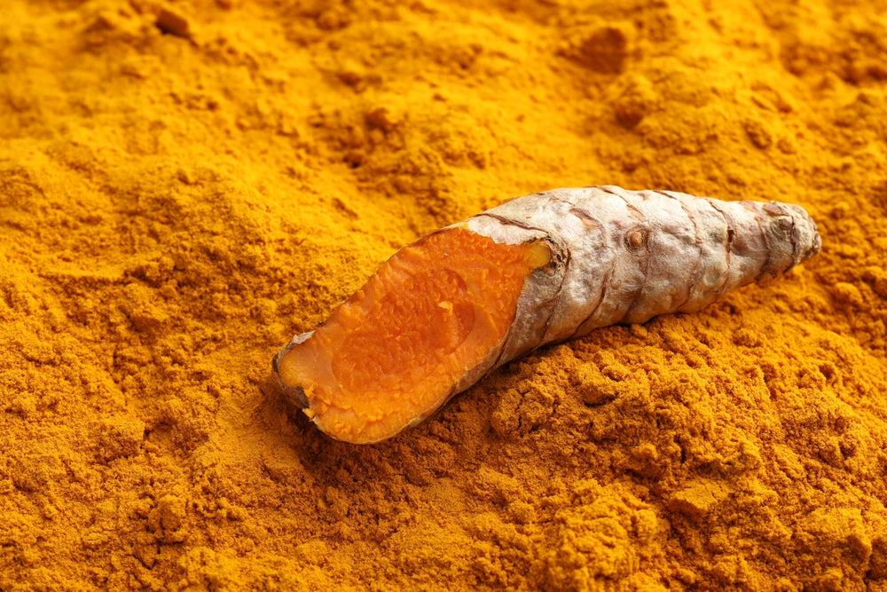 Fresh turmeric root on aromatic powder, closeup