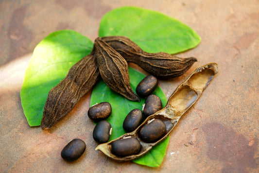 Best Supplements for Mood