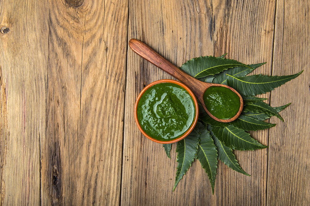Medicinal Neem leaves with paste on wooden background