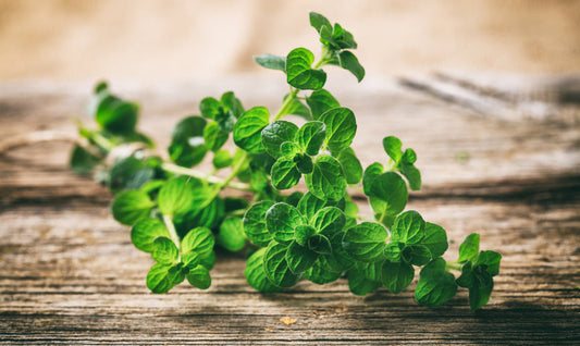 Oregano on a wooden table