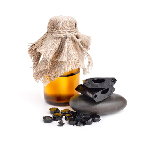shilajit vs fulvic acid minerals