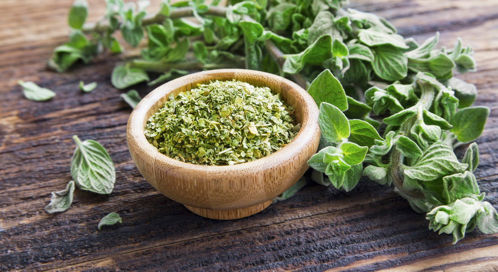 Oregano Oil for Candida and Parasites