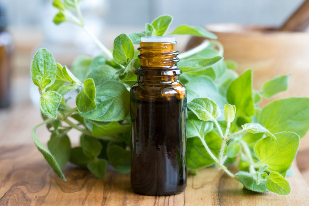 oregano oil for SIBO