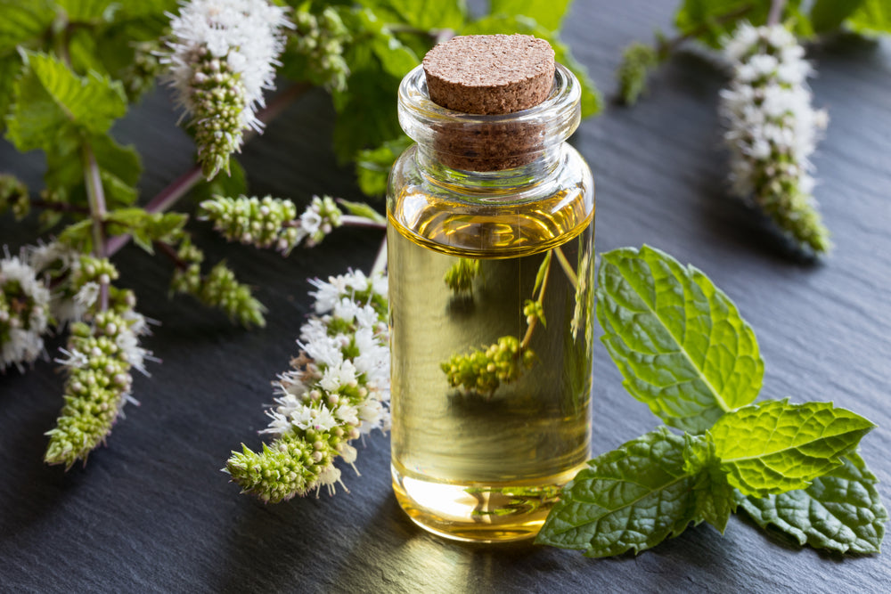 Peppermint Oil and Peppermint Leaves on Table