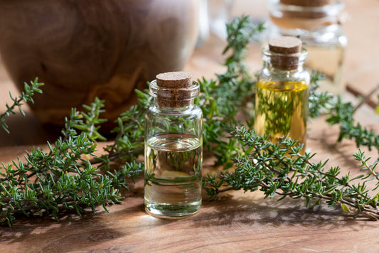 Best Herbs and Essential Oils for SIBO