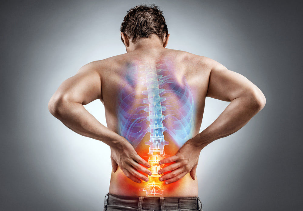 Best Herbs for Inflammation