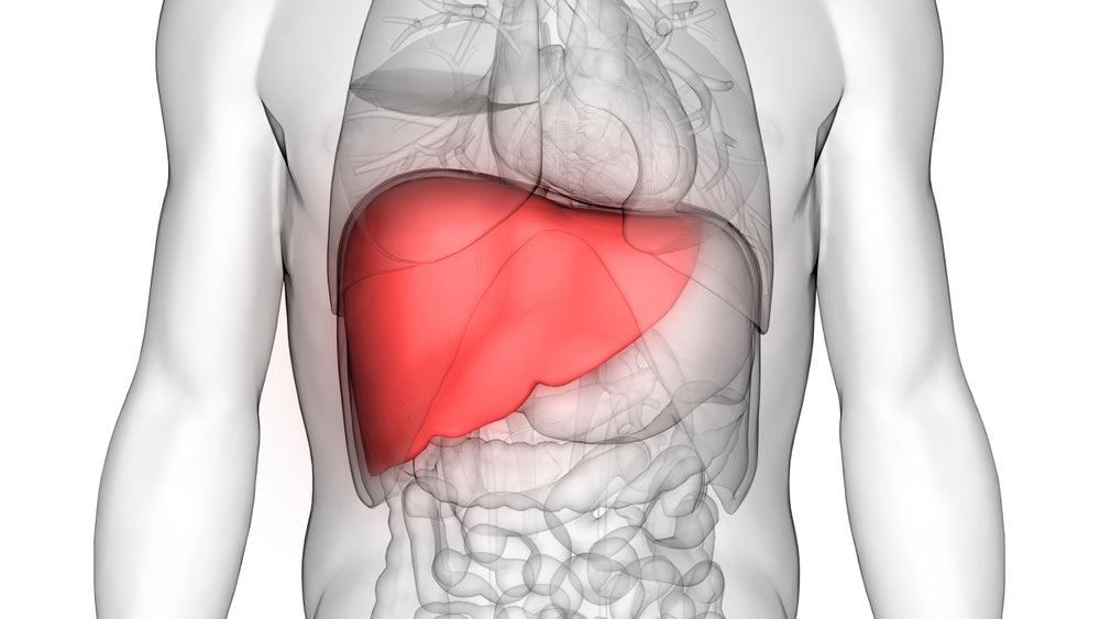 Best Foods for Liver and Foods Good For Liver Repair