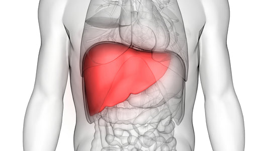 Best Foods for Liver and Foods Good For Liver Repair