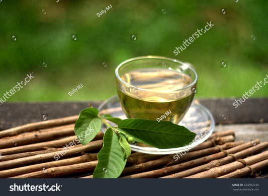 Understanding Emmenagogue Herbs: Supporting Menstrual Health Naturally