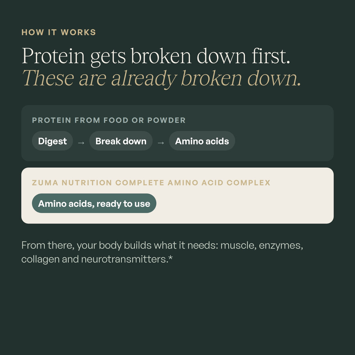Protein gets broken down first. These are already broken down.