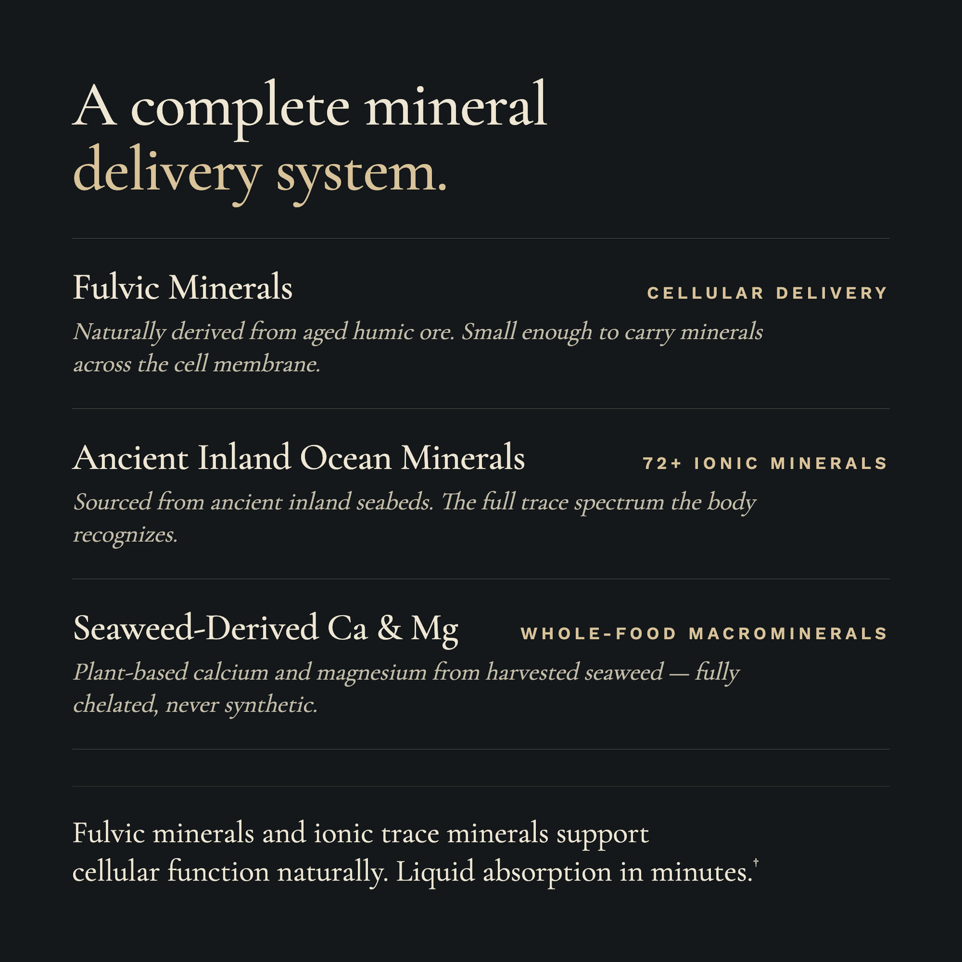 Fulvic Acid & Trace Ocean Minerals