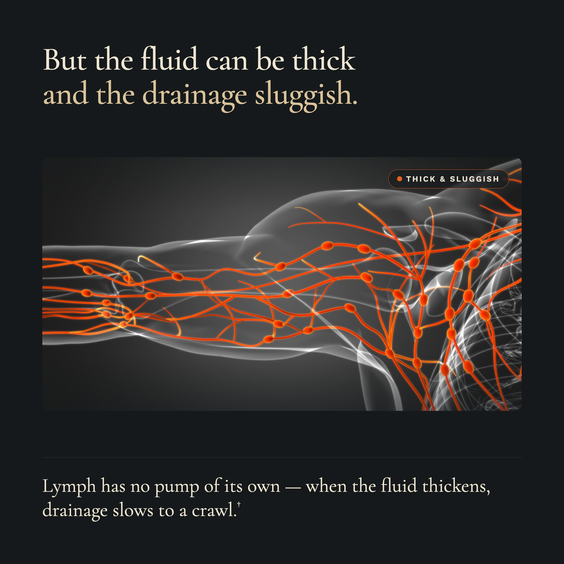 Lymph Clear