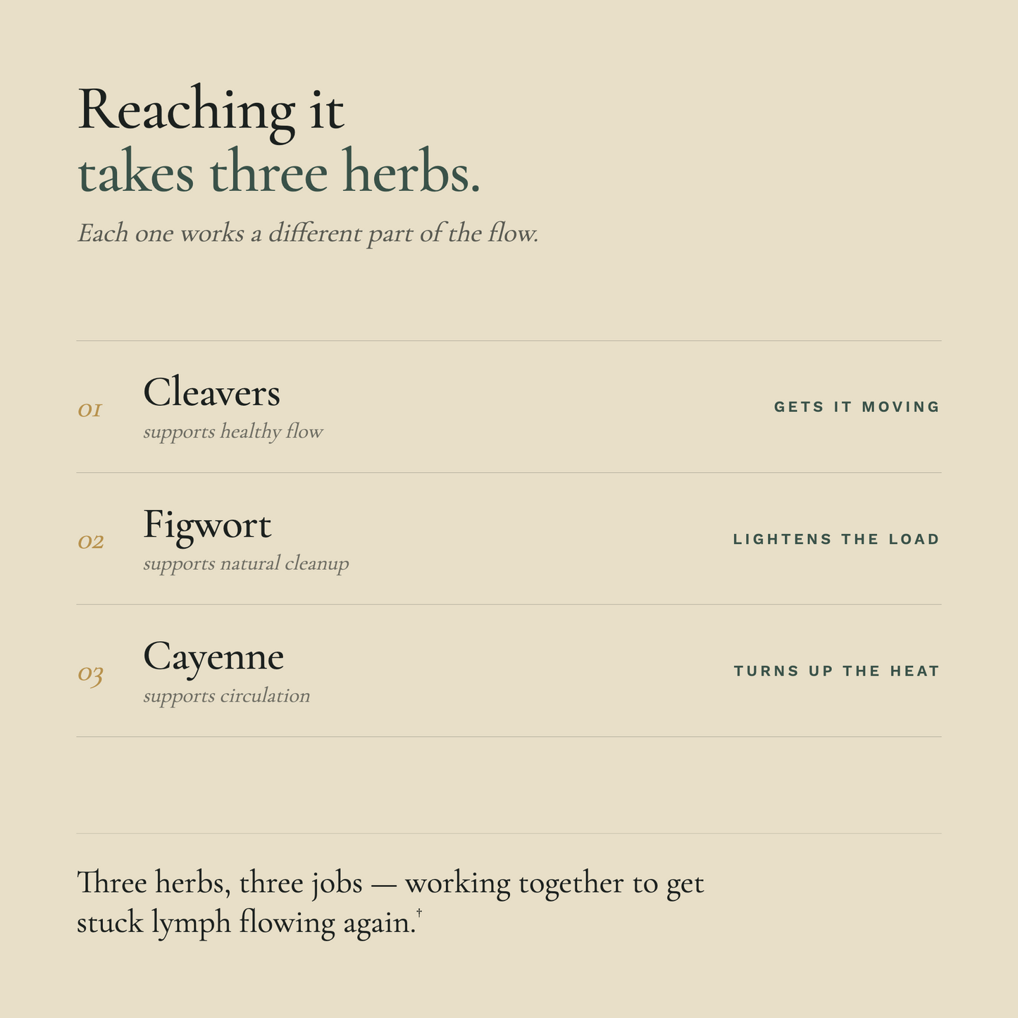 Lymph Clear