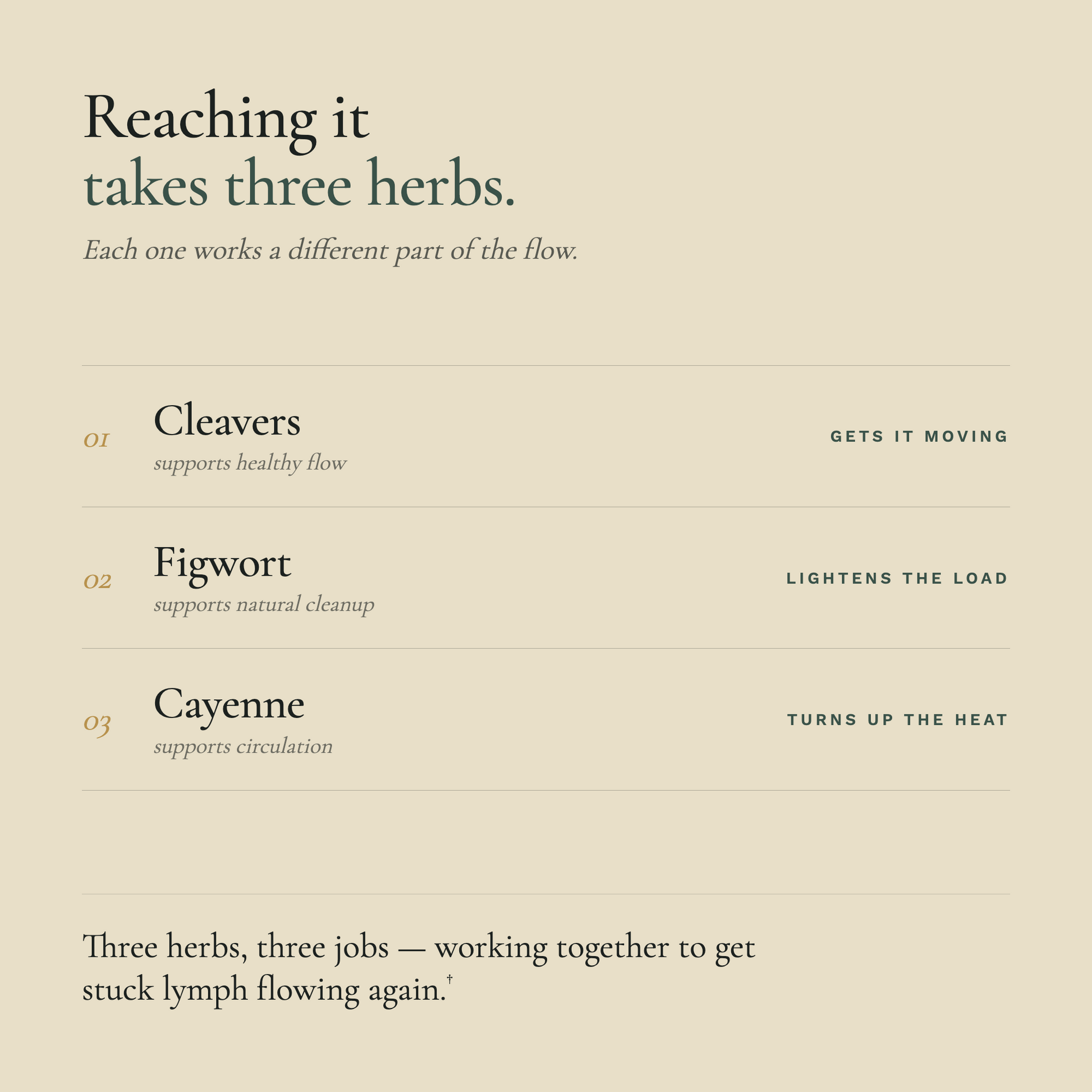 Lymph Clear