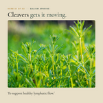 Lymph Clear