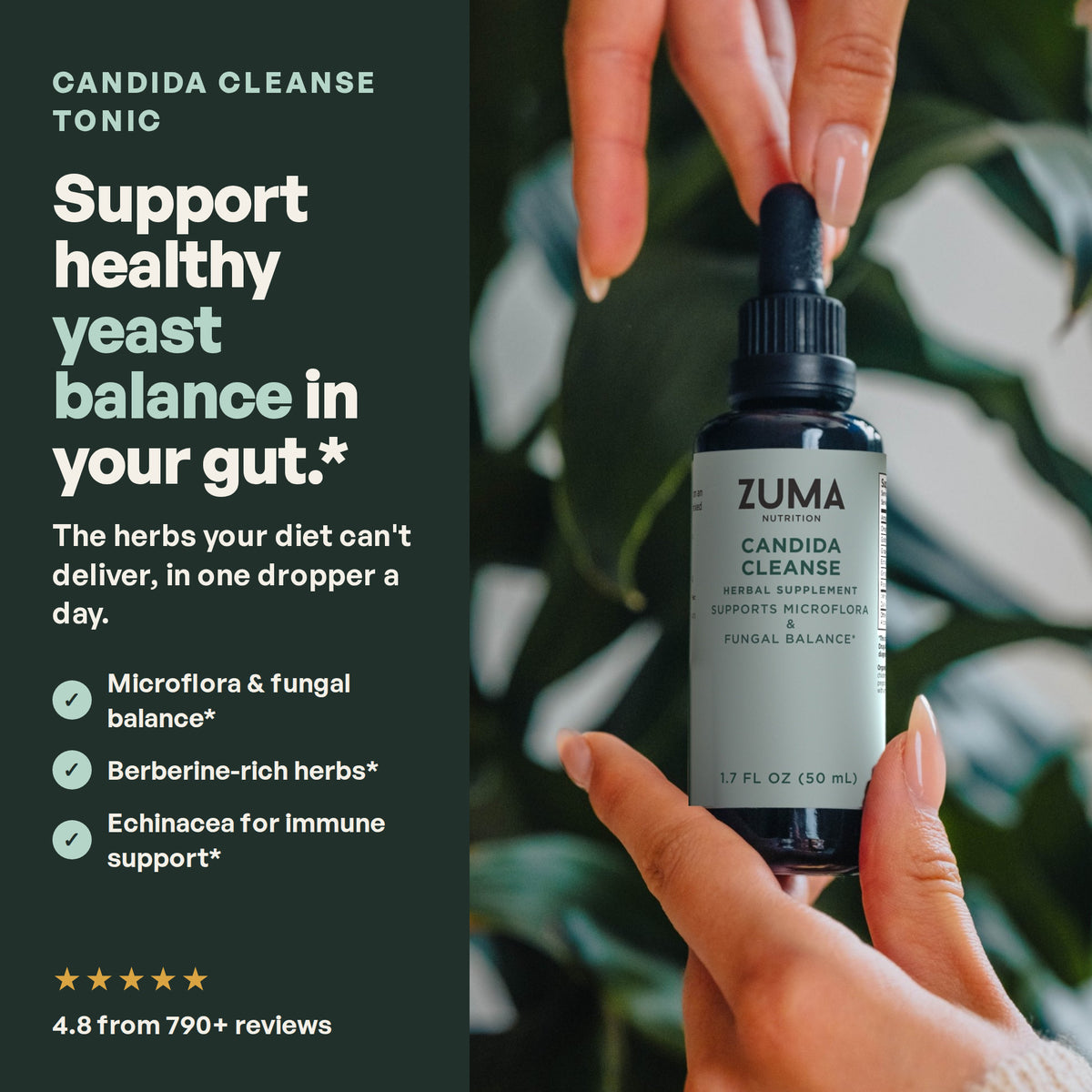 Candida Cleanse Tonic: help your gut find its balance again