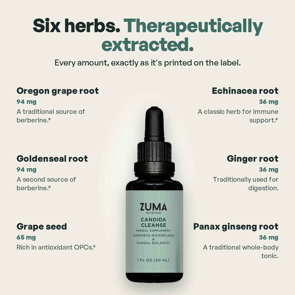 The six herbs in Candida Cleanse Tonic, with label amounts