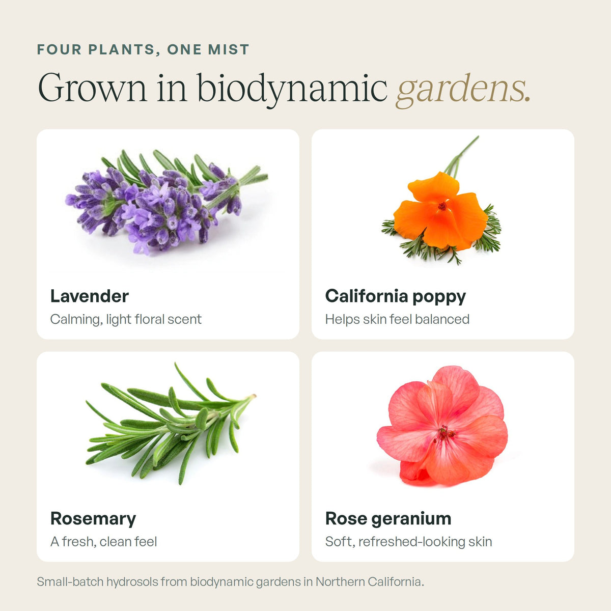 Lavender, California poppy, rosemary and rose geranium hydrosols from biodynamic gardens