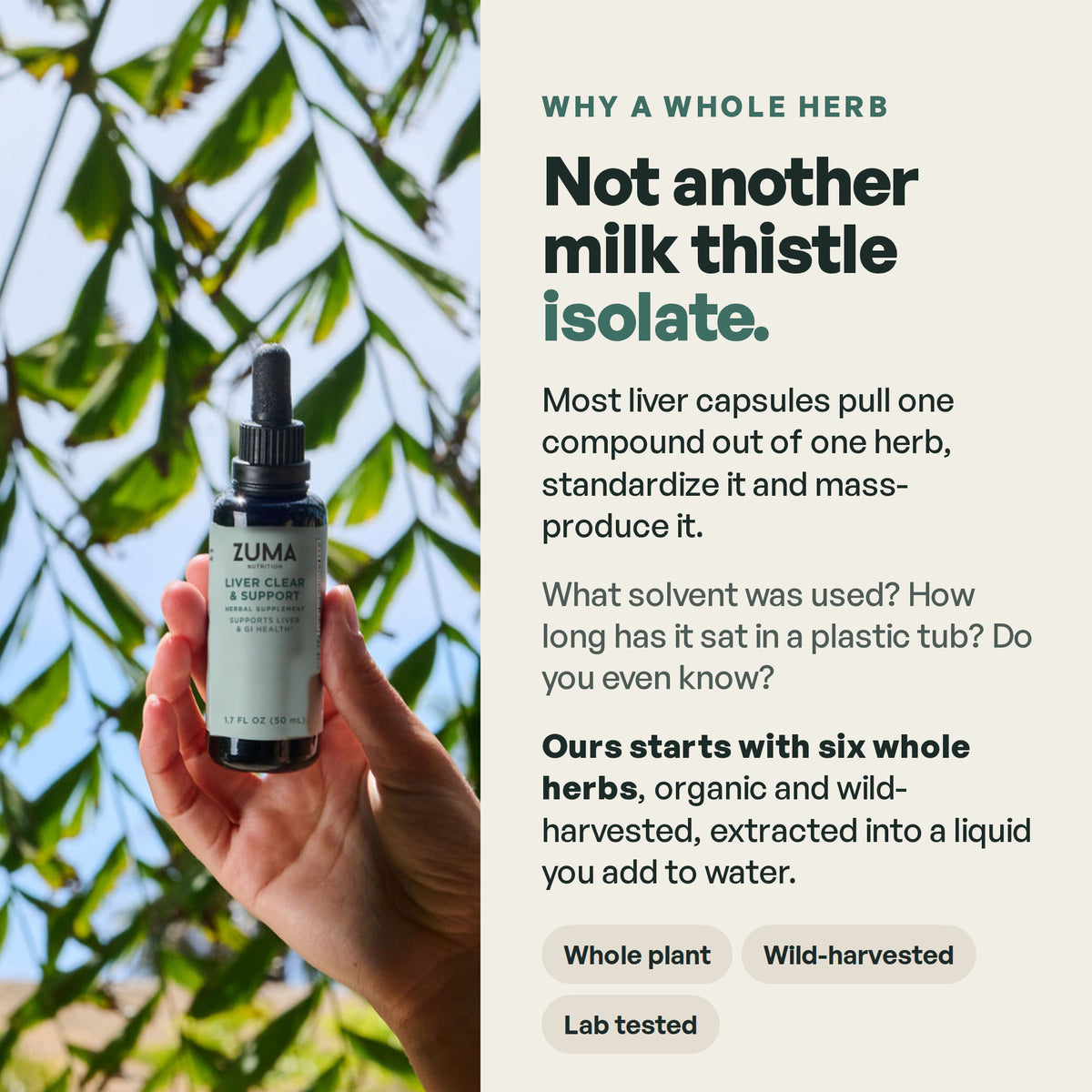 Not another milk thistle isolate: six whole herbs