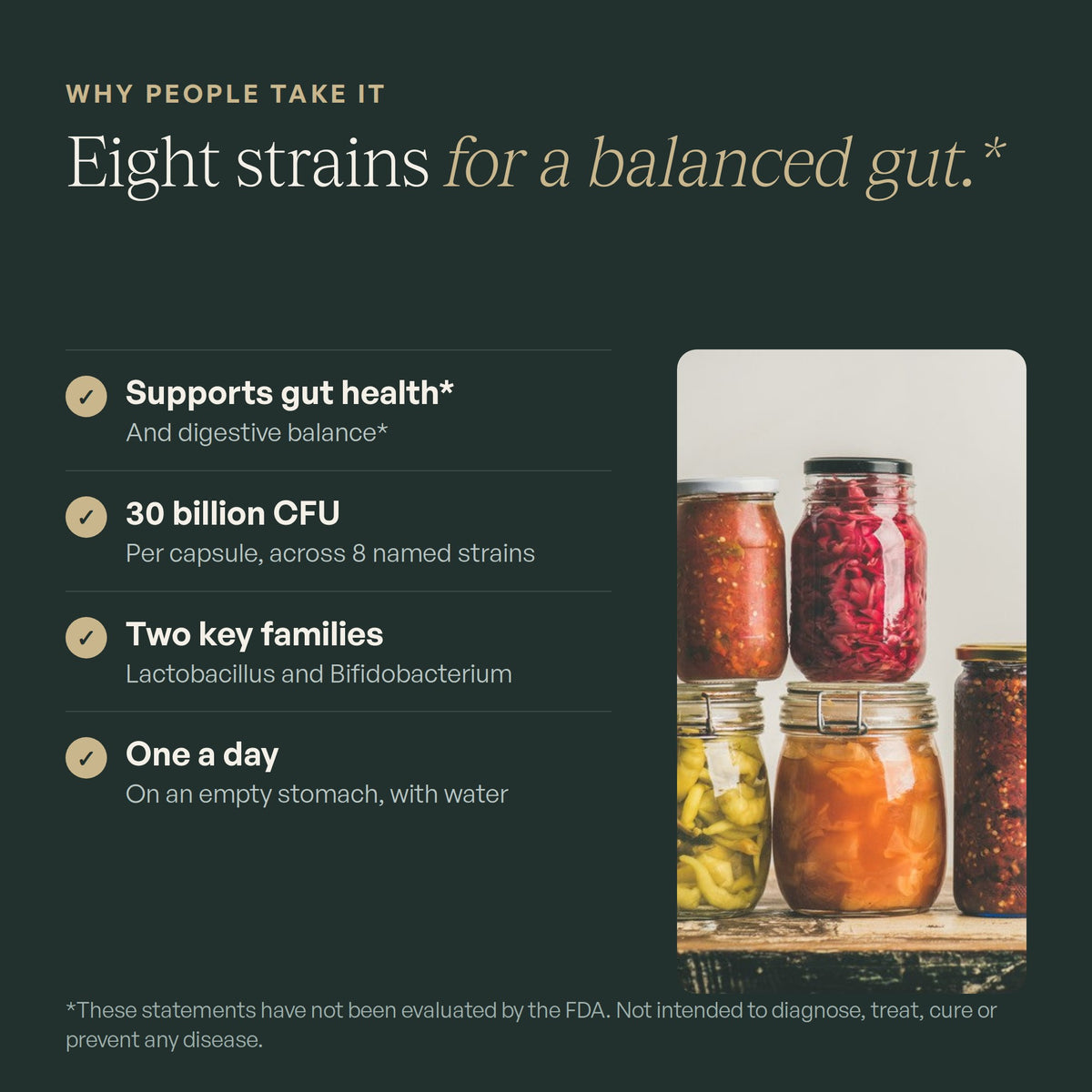Multi-Strain Probiotic Complex