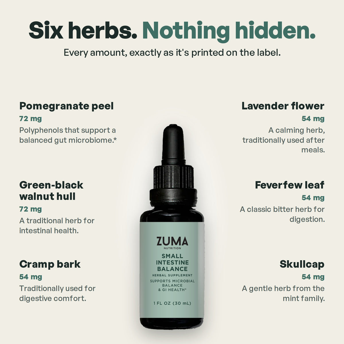 Small Intestine Balance Tonic by Zuma Nutrition