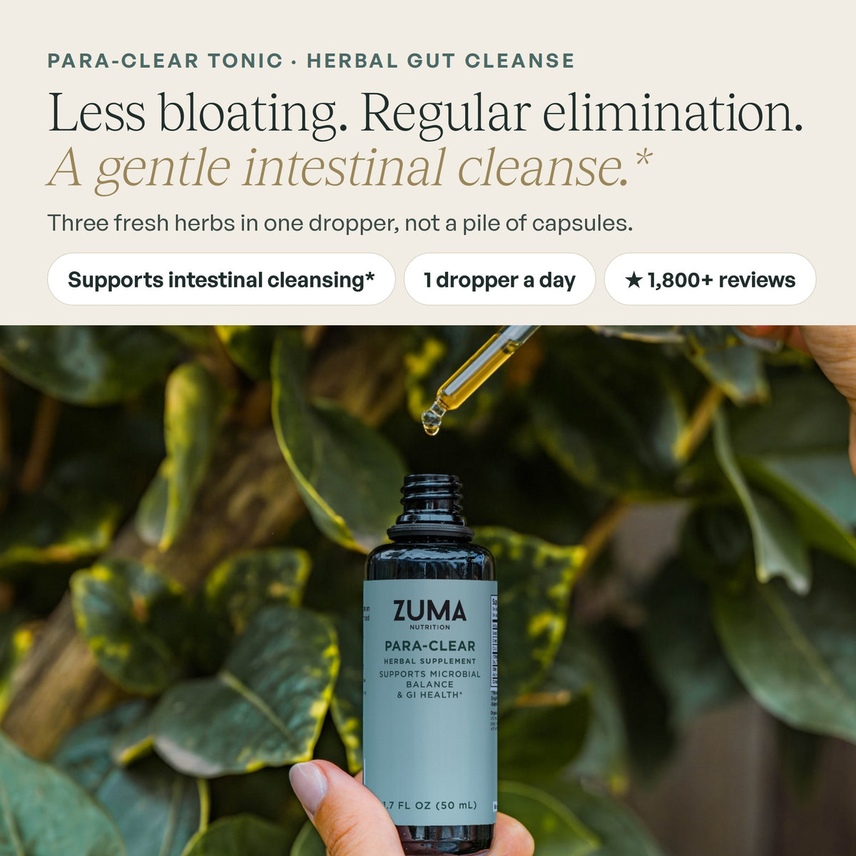 Zuma Nutrition Para-Clear Tonic in hand