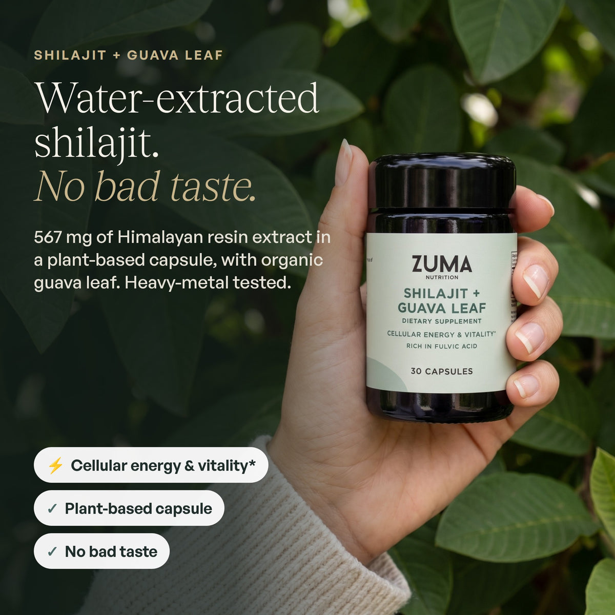 Zuma Nutrition Shilajit + Guava Leaf: water-extracted shilajit, no bad taste