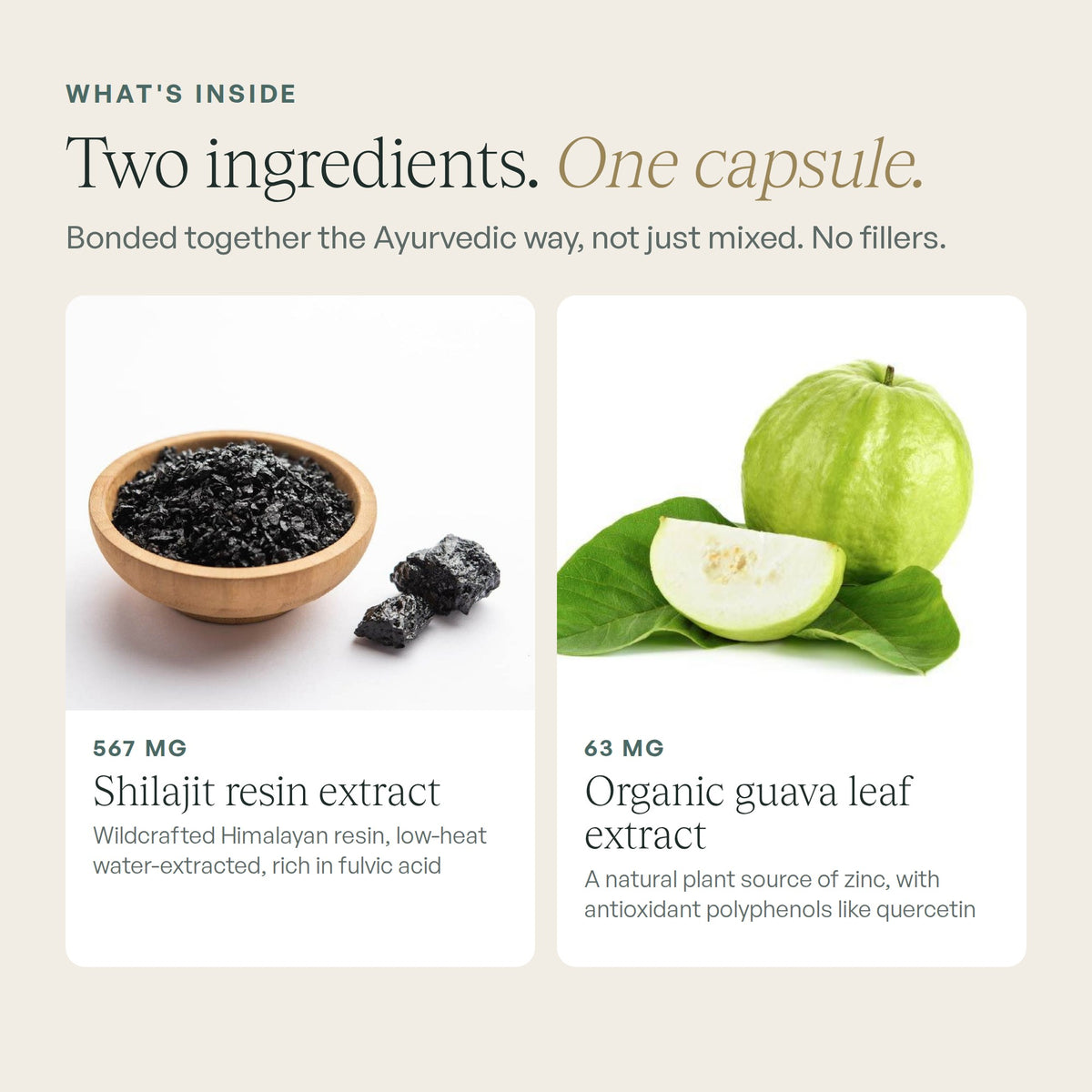 What's inside: shilajit resin extract and organic guava leaf extract
