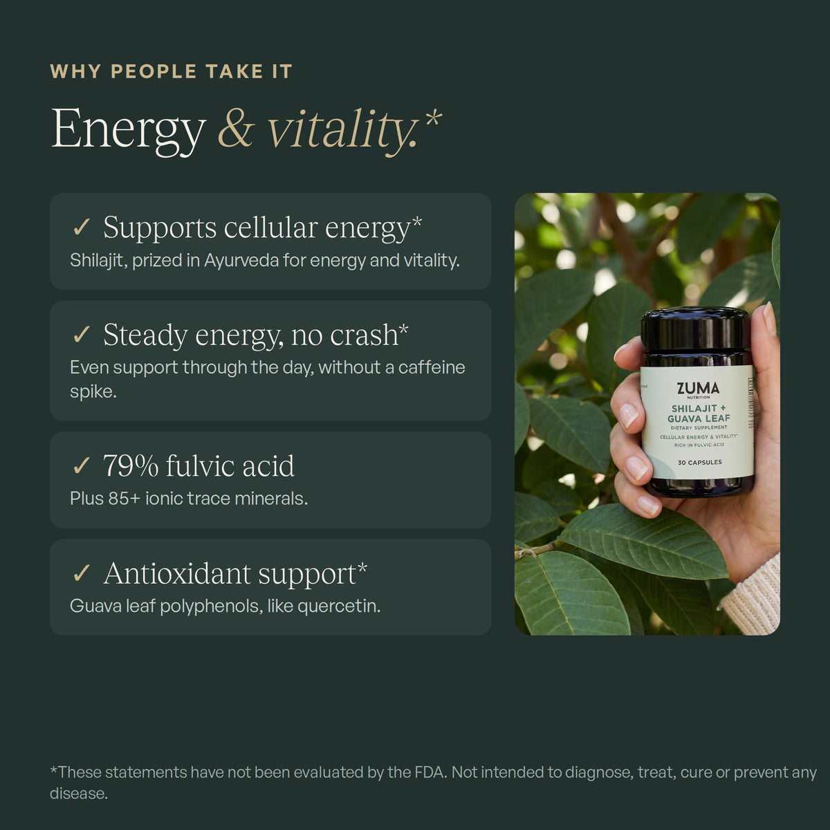 Why people take Zuma Nutrition Shilajit + Guava Leaf