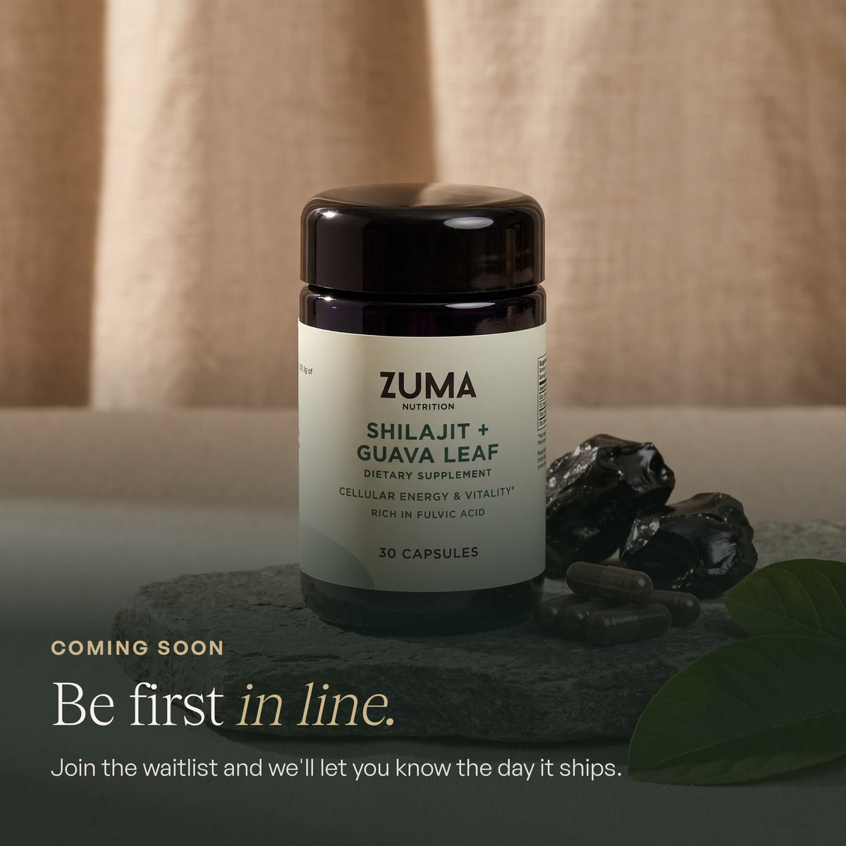 Zuma Nutrition Shilajit + Guava Leaf, coming soon