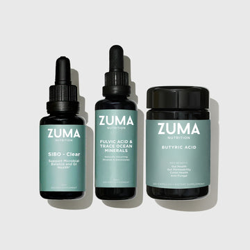 Zuma sibo protocol