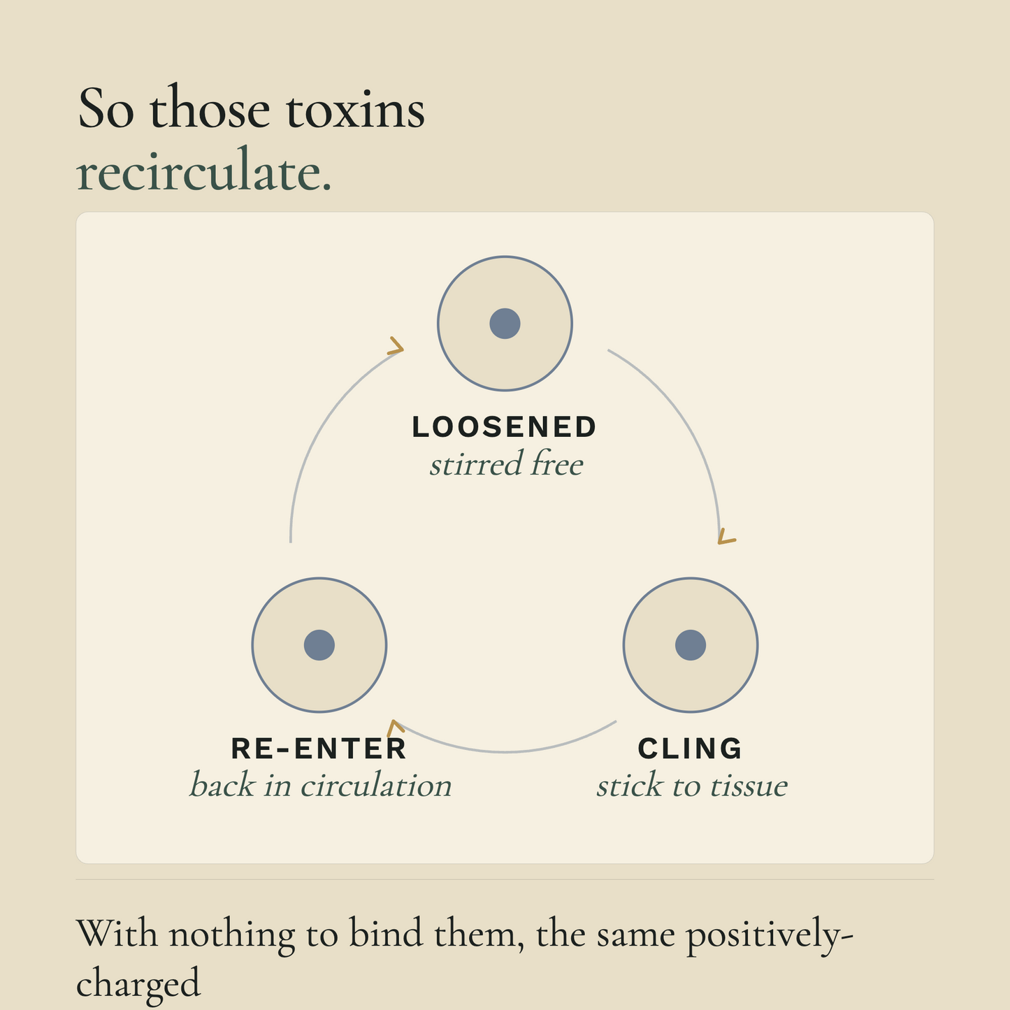 Zeolite Micronized Liquid Tonic