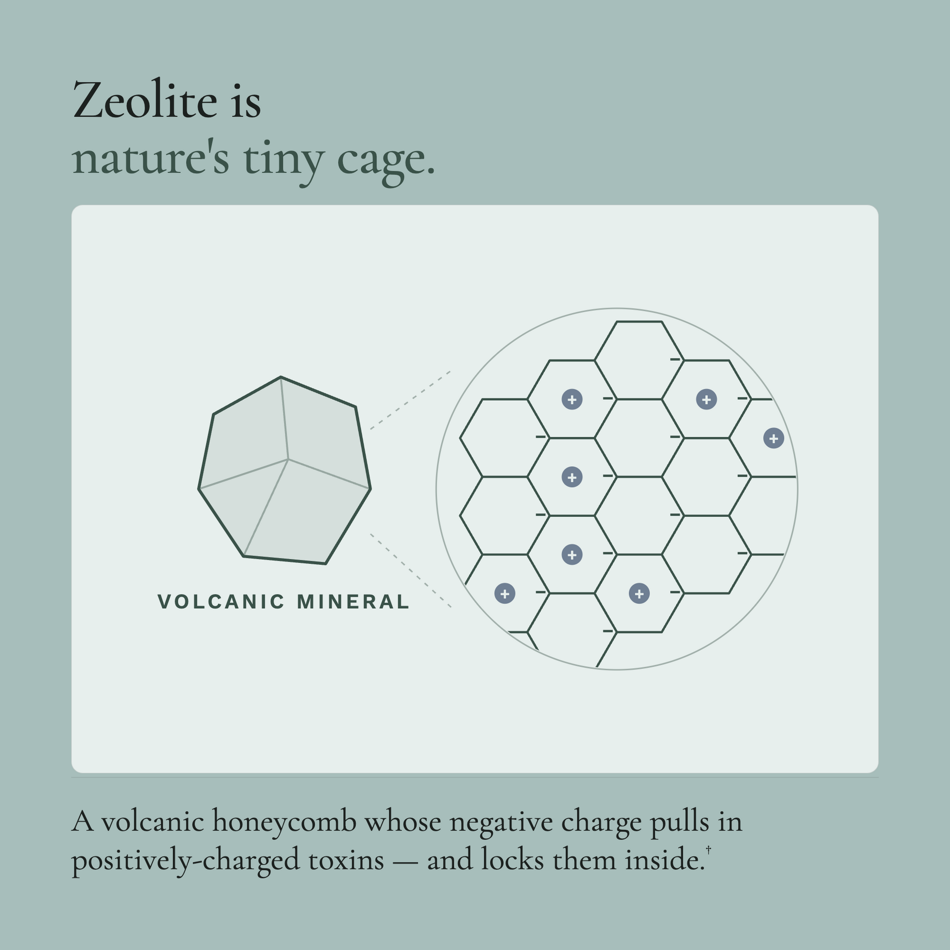 Zeolite Micronized Liquid Tonic