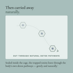 Zeolite Micronized Liquid Tonic